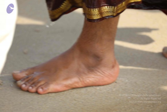 20180428_Photo_1023_7T7A1545_CMP_WM