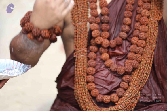 20180428_Photo_1024_7T7A1557_CMP_WM