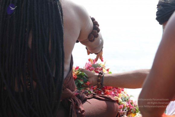 20180428_Photo_1025_7T7A1663_CMP_WM