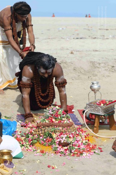 20180428_Photo_1028_7T7A1732_CMP_WM