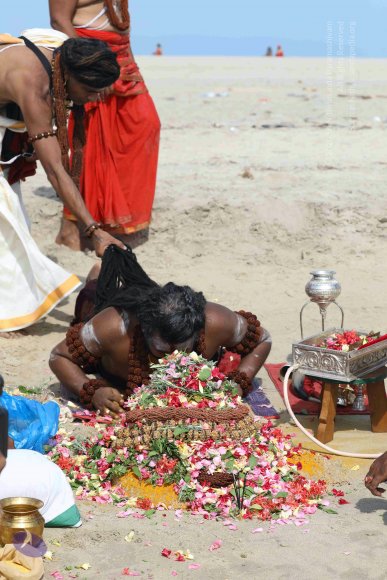 20180428_Photo_1029_7T7A1733_CMP_WM