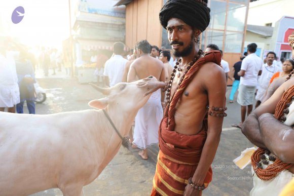 20180428_Photo_1038_7T9A0079_CMP_WM