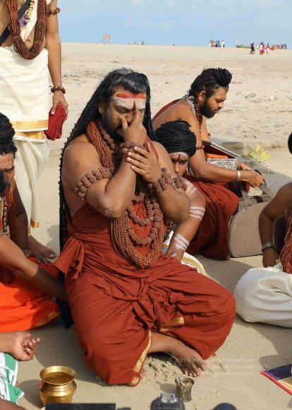 20180428_Photo_1004_7T9A0166_CMP_WM