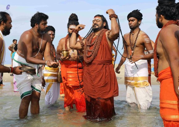 20180428_Photo_1005_7T9A0215_CMP_WM