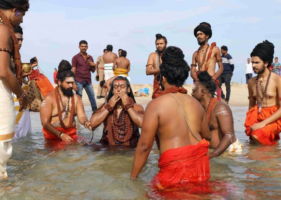 20180428_Photo_1011_7T9A0233_CMP_WM