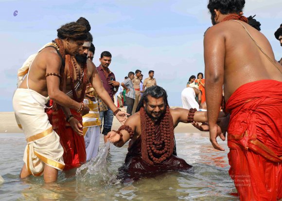 20180428_Photo_1019_7T9A0271_CMP_WM