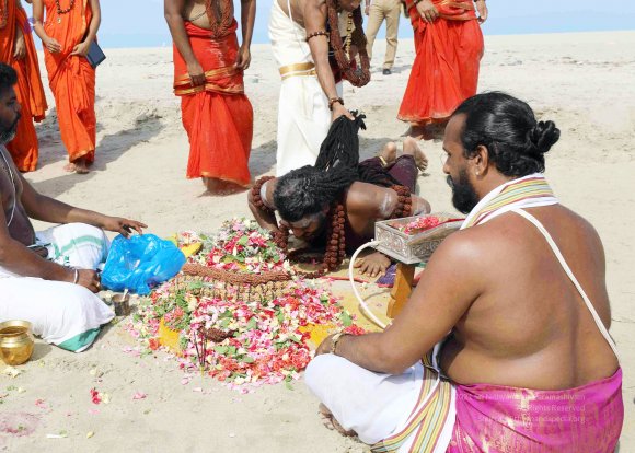 20180428_Photo_1035_7T9A0453_CMP_WM