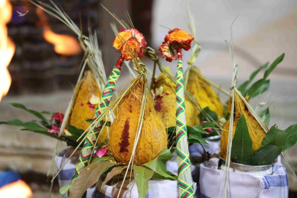 20180404_Photo_1000_7T7A7554_CMP_WM