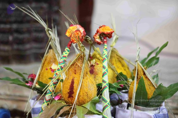 20180404_Photo_1001_7T7A7555_CMP_WM