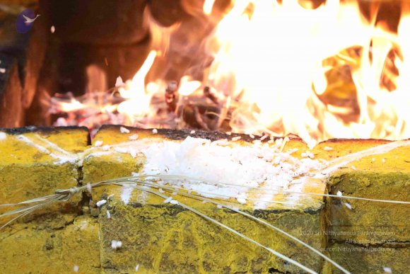 20180404_Photo_1023_7T7A7635_CMP_WM