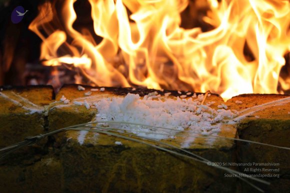 20180404_Photo_1024_7T7A7636_CMP_WM