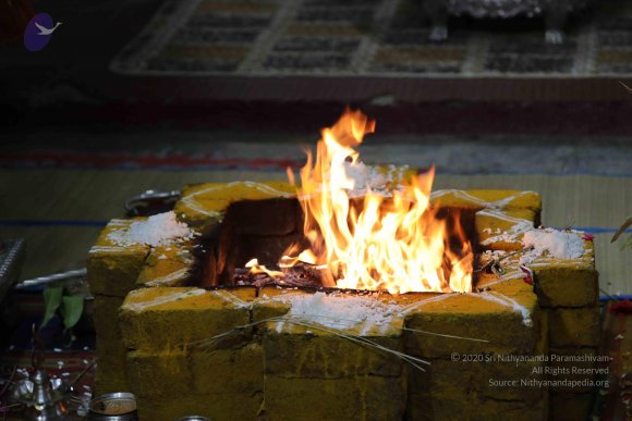 20180404_Photo_1027_7T7A7639_CMP_WM