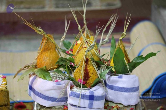 20180404_Photo_1028_7T7A7640_CMP_WM