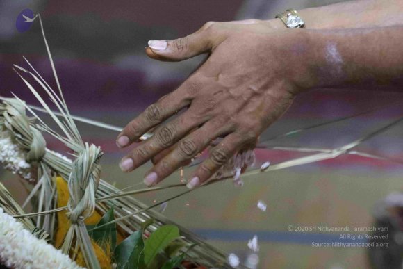 20180404_Photo_1031_7T7A7643_CMP_WM