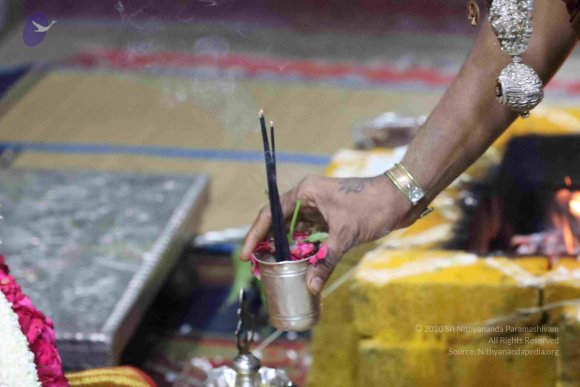 20180404_Photo_1033_7T7A7645_CMP_WM