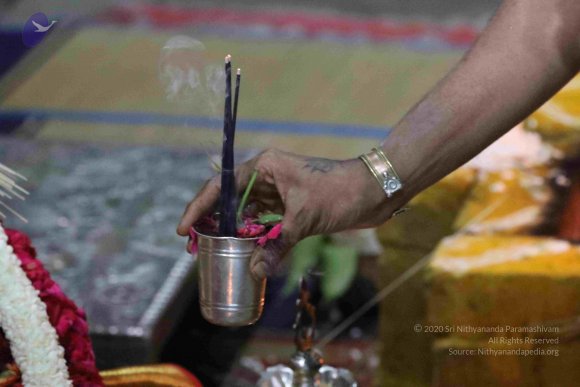 20180404_Photo_1034_7T7A7646_CMP_WM