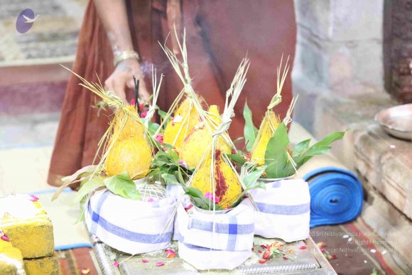 20180404_Photo_1038_7T7A7650_CMP_WM