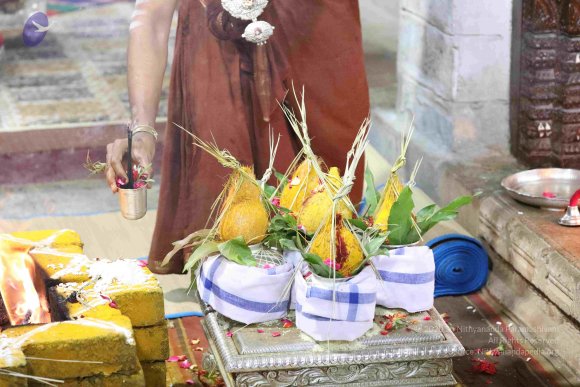 20180404_Photo_1039_7T7A7651_CMP_WM