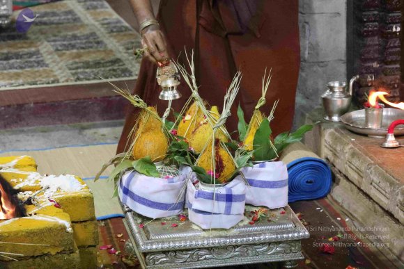 20180404_Photo_1042_7T7A7656_CMP_WM