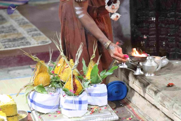 20180404_Photo_1044_7T7A7665_CMP_WM