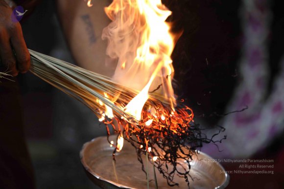 20180404_Photo_1049_7T7A7672_CMP_WM