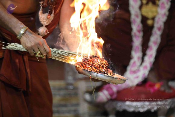 20180404_Photo_1050_7T7A7673_CMP_WM