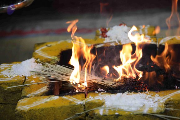 20180404_Photo_1053_7T7A7677_CMP_WM