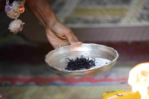 20180404_Photo_1054_7T7A7678_CMP_WM