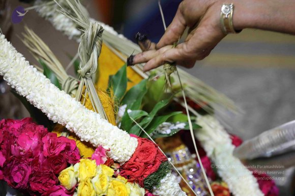 20180404_Photo_1055_7T7A7679_CMP_WM