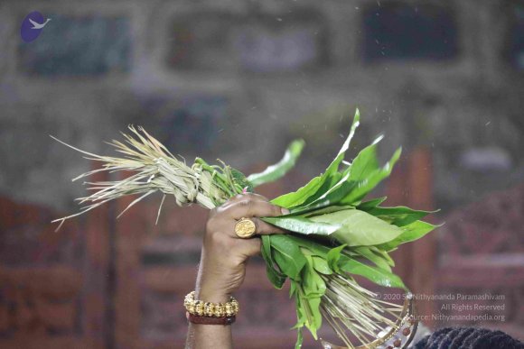 20180404_Photo_1061_7T7A7698_CMP_WM