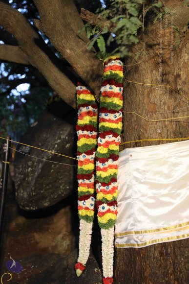 01-Nilayam-Kumbhabhishekam_Photo_1003_7T9A6685_CMP_WM