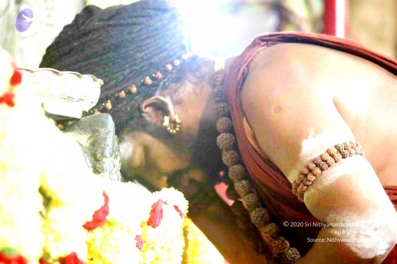 20180213_Photo_1021_7T7A9086_CMP_WM