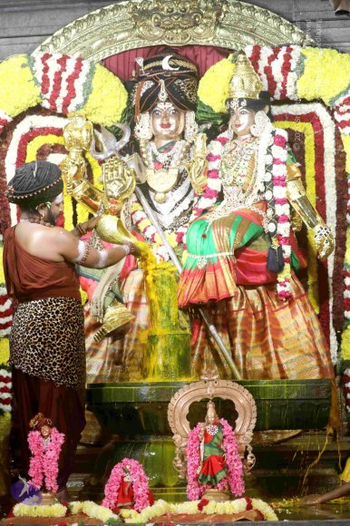 20180213_Photo_1090_7T7A9182_CMP_WM