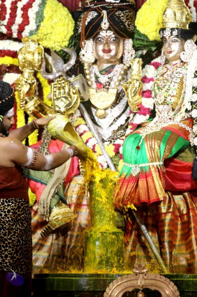 20180213_Photo_1092_7T7A9184_CMP_WM