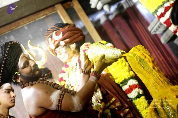 20180213_Photo_1099_7T7A9198_CMP_WM