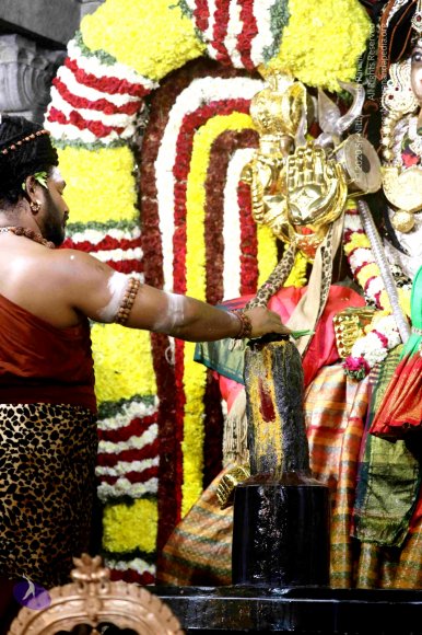 20180213_Photo_1133_7T7A9257_CMP_WM