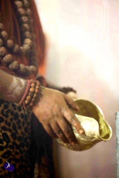 20180213_Photo_1178_7T7A9331_CMP_WM