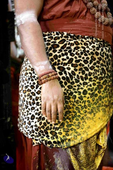 20180213_Photo_1202_7T7A9354_CMP_WM