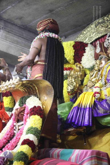 7T7A7162_CMP_WM_7T9A7158_CMP_WM