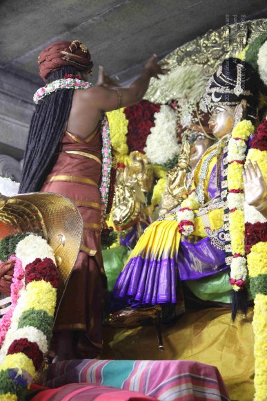 7T7A7162_CMP_WM_7T9A7160_CMP_WM