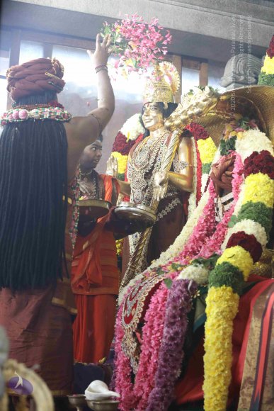 7T7A7204_CMP_WM_7T9A7184_CMP_WM