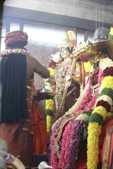 7T7A7204_CMP_WM_7T9A7185_CMP_WM