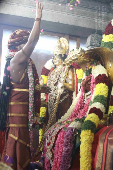 7T7A7204_CMP_WM_7T9A7186_CMP_WM