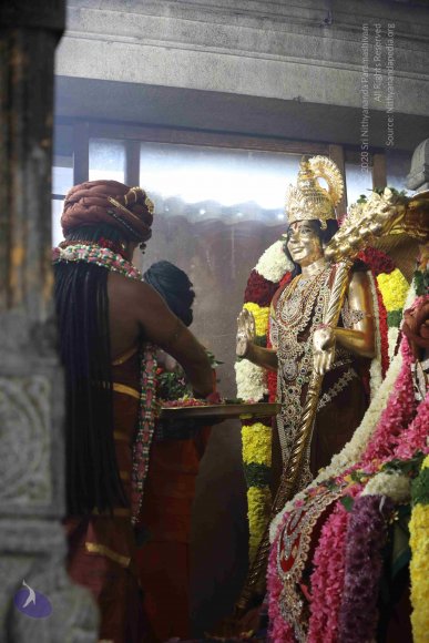 7T7A7204_CMP_WM_7T9A7187_CMP_WM