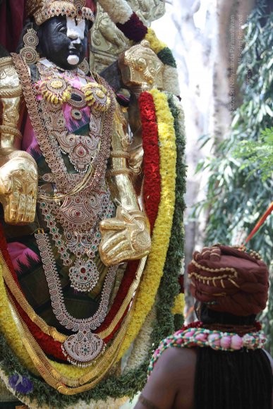 7T7A7239_CMP_WM_7T9A7249_CMP_WM