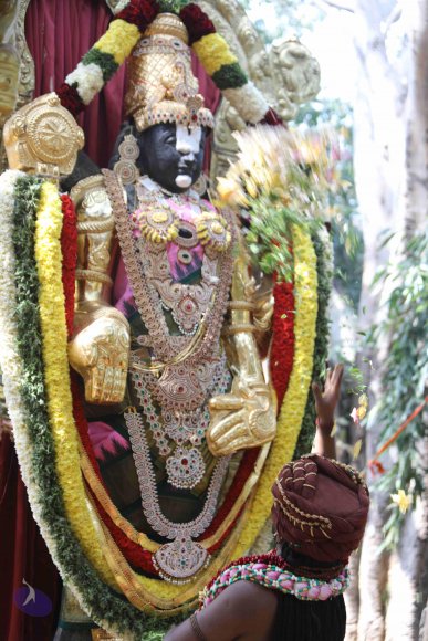 7T7A7239_CMP_WM_7T9A7251_CMP_WM