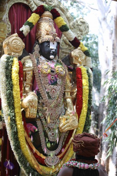 7T7A7239_CMP_WM_7T9A7252_CMP_WM