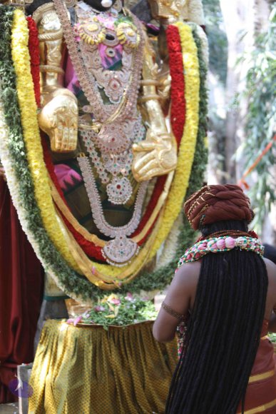 7T7A7239_CMP_WM_7T9A7253_CMP_WM