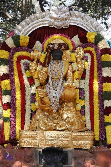 7T7A7261_CMP_WM_7T9A7263_CMP_WM