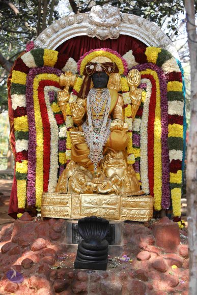 7T7A7261_CMP_WM_7T9A7264_CMP_WM